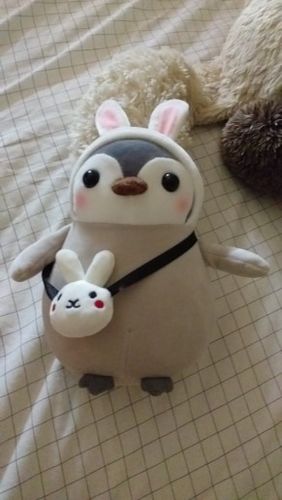 Customer photo review of Adorable Chilly Willy Plushie Collection