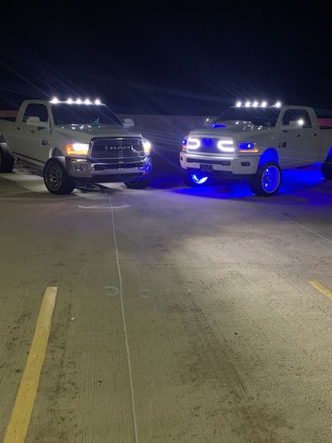 Customer photo review of LED License Plate Lights (T10 Single Color)