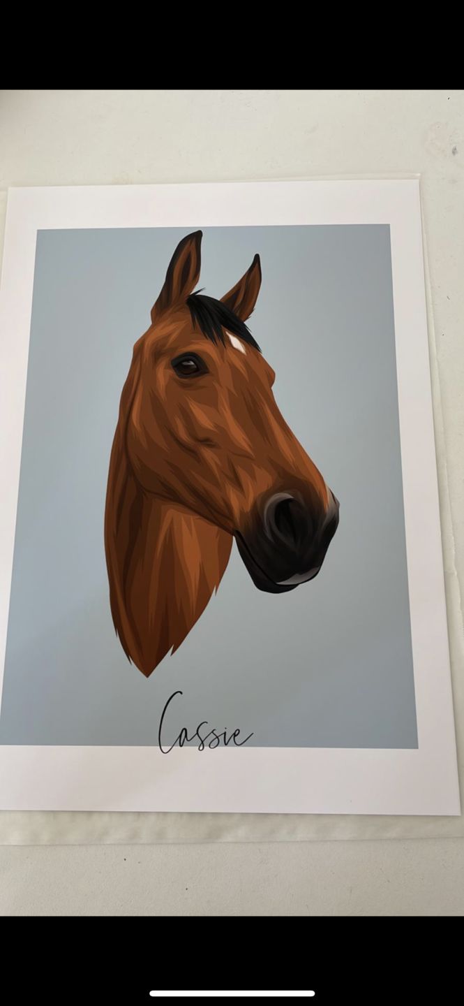 Customer photo review of Portrait deines Tieres