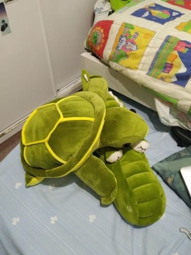 Customer photo review of Ocean Mystery Turtle Plushie Collection