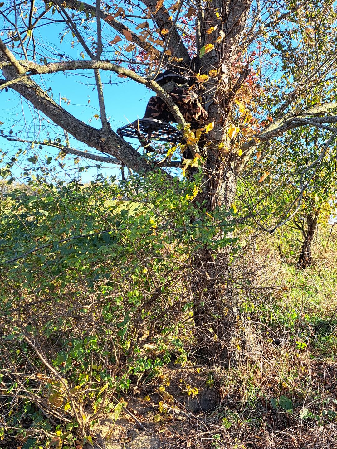 Customer photo review of D'Acquisto Series Hang-On 1.0 / Mobile Hunter ™