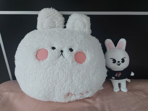 Customer photo review of Kawaii Homie Pet Cushion Collection