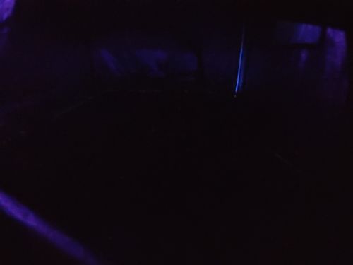 Customer photo review of FGI 730 NM Dedicated 30w 4' long Far Red LED Grow Light PAR Booster (Single)
