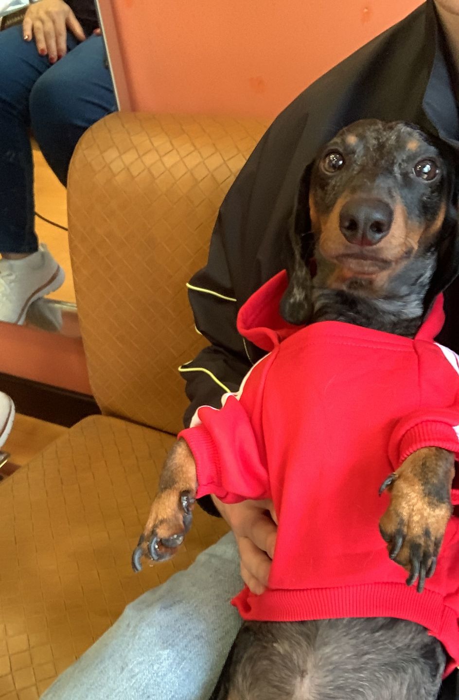 Customer photo review of Felpa "Adidog" Rossa