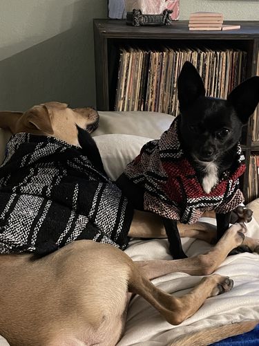 Customer photo review of Playa Poncho - Surprise Color