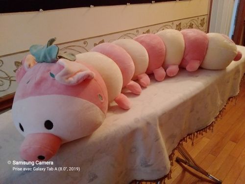 Customer photo review of Summer Fruit Caterpillar Plushie Collection