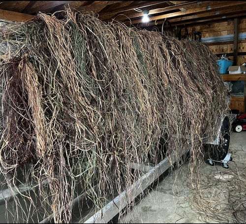 Customer photo review of Hunting Blind Raffia Grass (Pack)