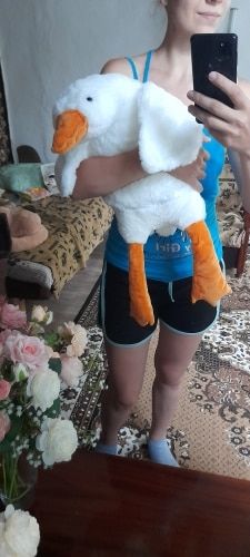 Customer photo review of Giant Swan Buddy Plushie