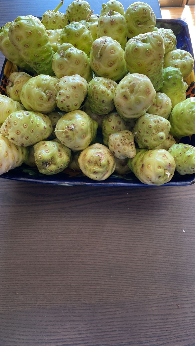 Customer photo review of Noni Box