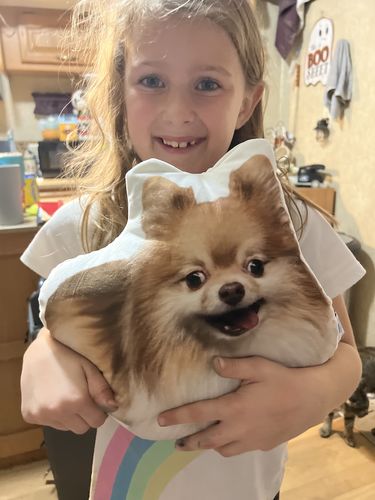 Customer photo review of Create A Custom Dog Pillow