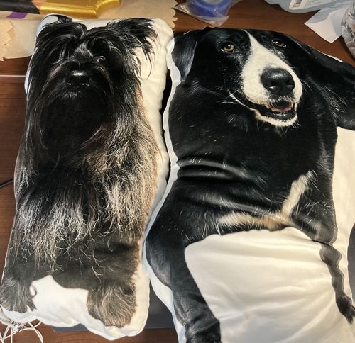 Customer photo review of Create A Custom Dog Pillow