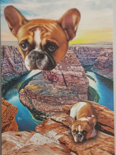 Customer photo review of 'Majestic Canyon' Personalized Pet Canvas