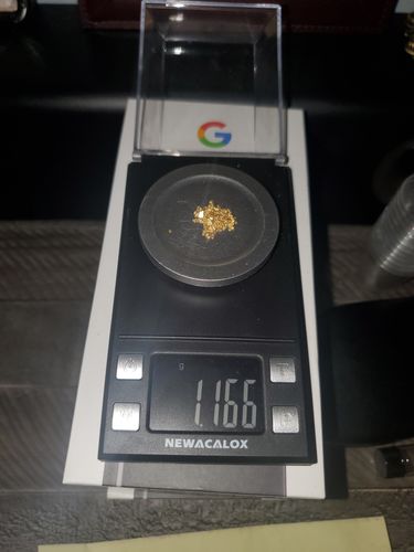 Customer photo review of 5 Lb. Rich Gold Paydirt Unsearched Concentrate BOGO