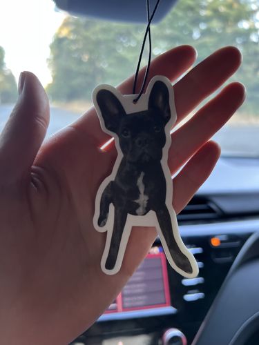 Customer photo review of Buy 1 Get 2 Free Special Offer