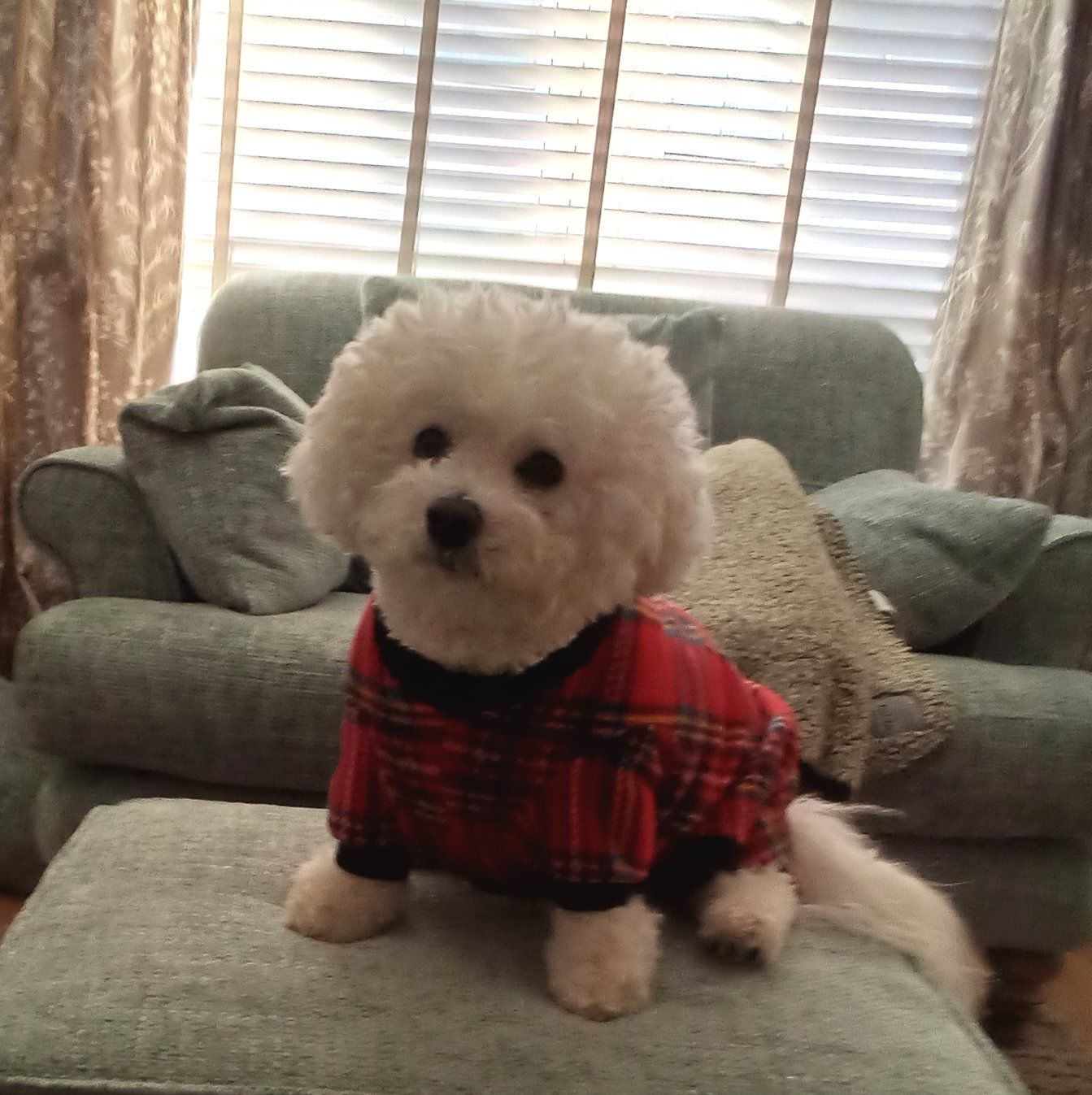Customer photo review of Red Checkered Anti Pill Polar Fleece Fabric