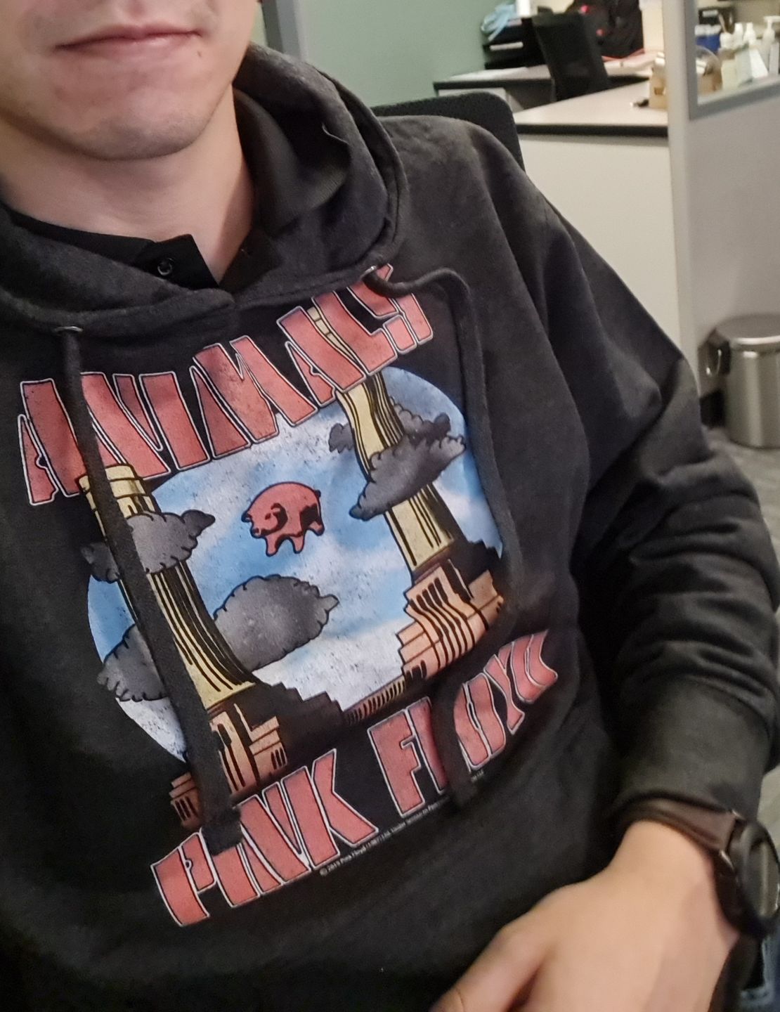 Customer photo review of Pink Floyd Animals Hoodie