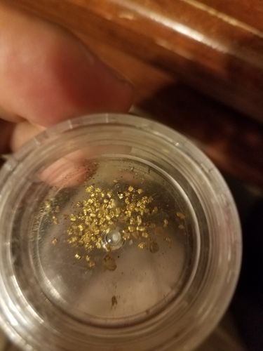 Customer photo review of *BOGO* Gold Diggers Delight '5 OUNCE GOLD CHASE' - Gold Paydirt Panning Concentrates