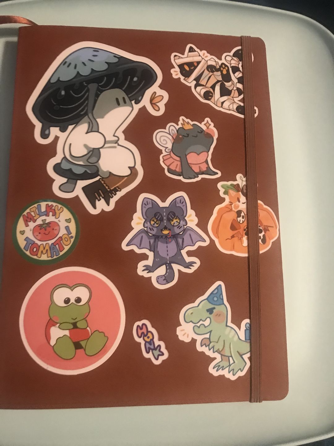 Customer photo review of Cute Ghost Stickers! : V6