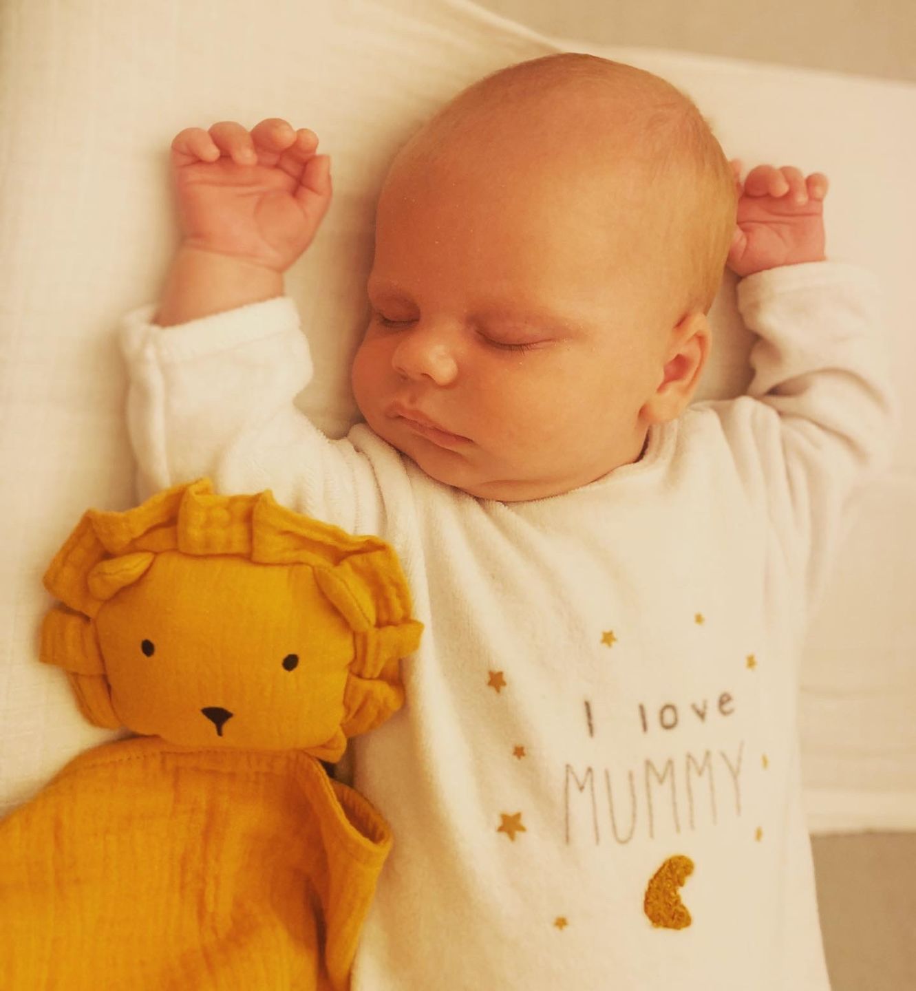 Customer photo review of Doudou Bébé - Lion "Leon"