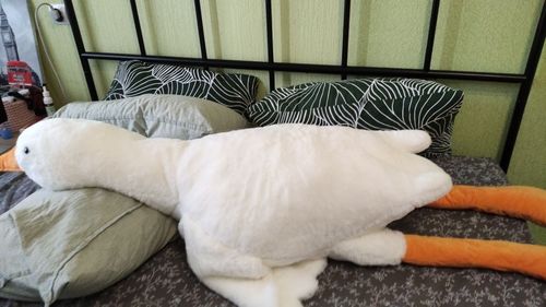 Customer photo review of Giant Swan Buddy Plushie