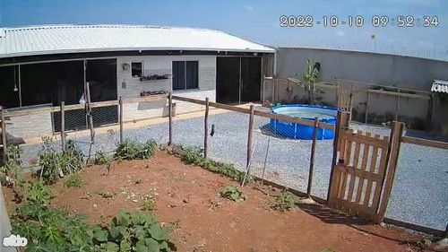 Customer photo review of Câmera de Segurança - SecureMax 360 WiFi