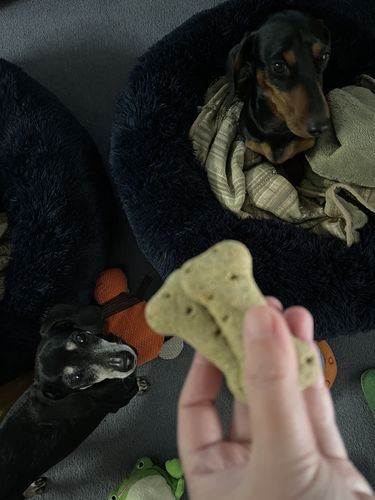 Customer photo review of Healthy Living Biscuit Bundle!