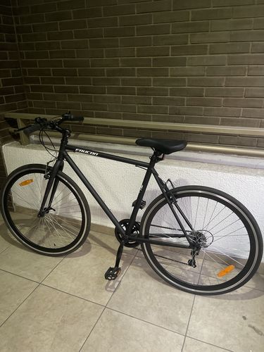 Customer photo review of Bicicleta Urbana Rhine Aro 28