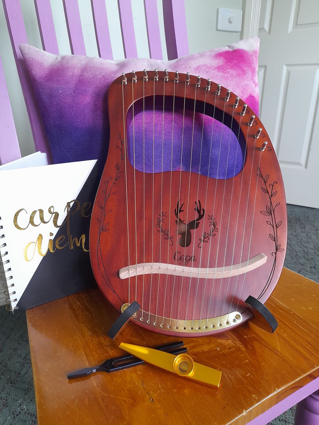 Customer photo review of Lyre Harp 16 String CEGA Reindeer Mahogany with Bag - Multiple Colors