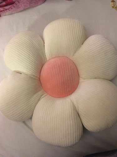 Customer photo review of Little Daisy Plush Cushion Collection