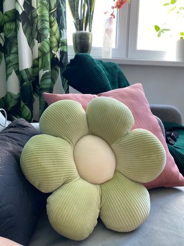 Customer photo review of Little Daisy Plush Cushion Collection