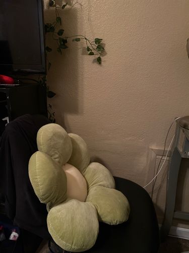 Customer photo review of Little Daisy Plush Cushion Collection