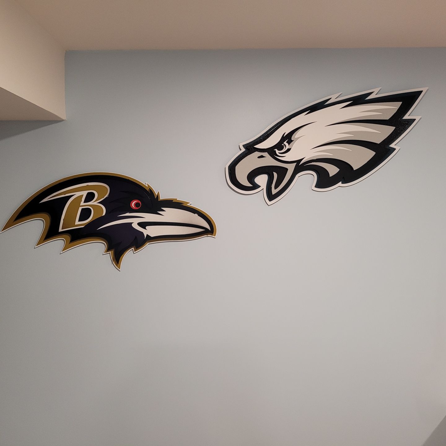 Customer photo review of Baltimore Ravens "Raven Mascot" 3D Vintage Metal Wall Art