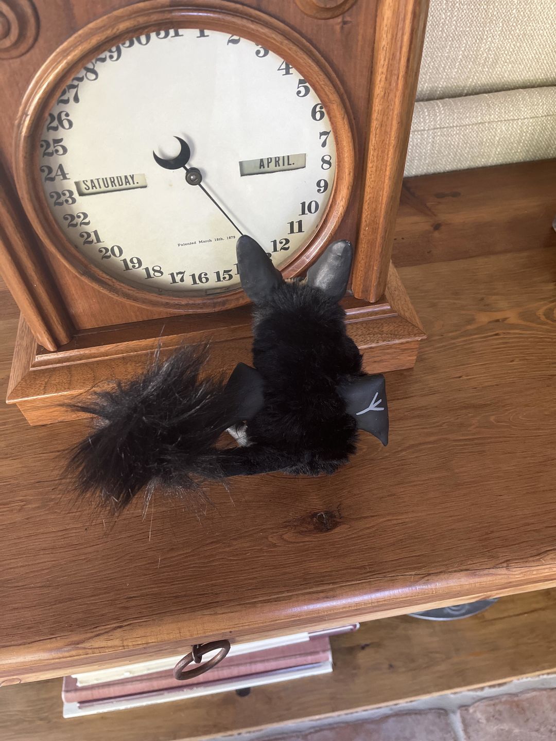 Customer photo review of Baby batcat