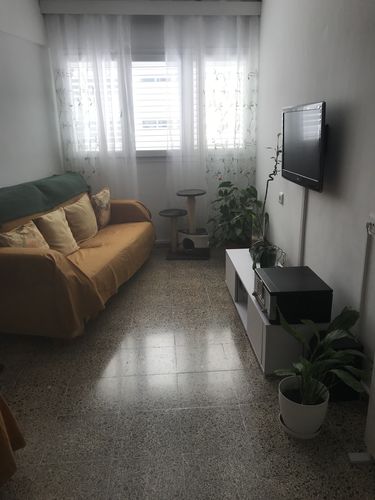 Customer photo review of Fregasuelos - 30 Eco-Tiras