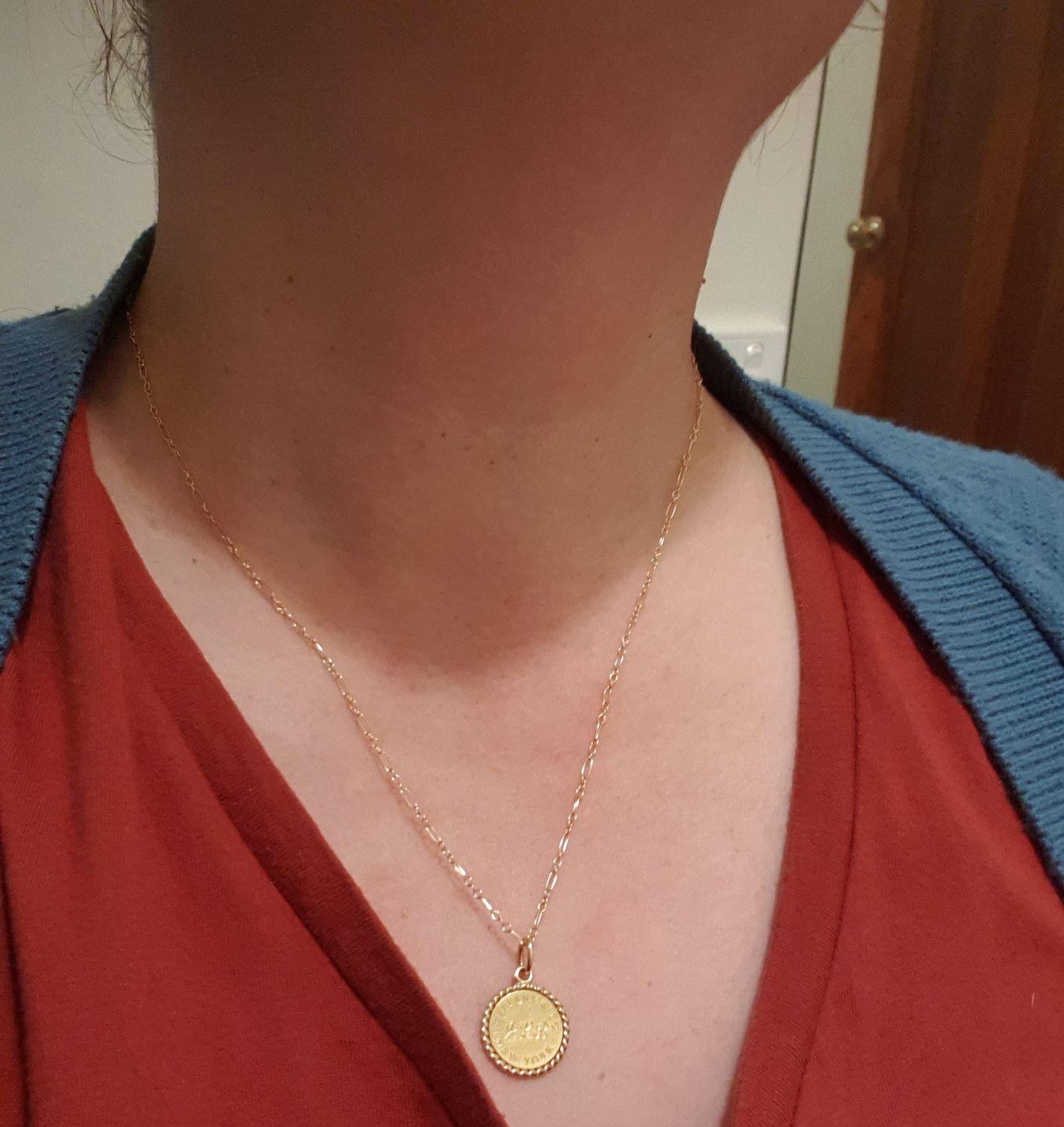 Customer photo review of Short of the Long Chain