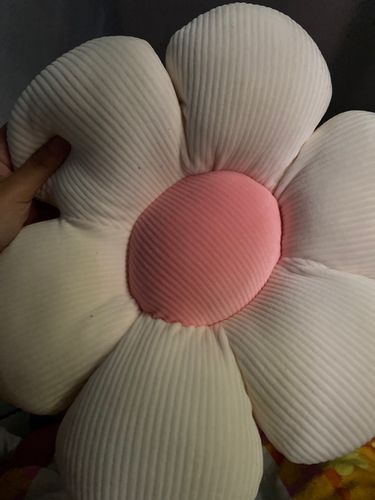 Customer photo review of Little Daisy Plush Cushion Collection