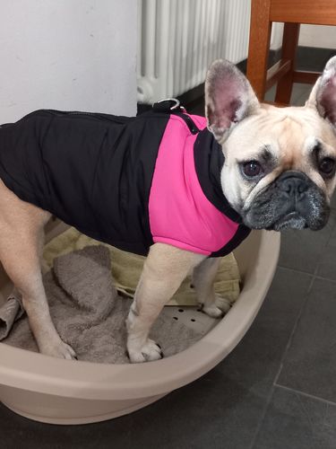 Customer photo review of Piumino Dettaglio Rosa Pettorina integrata