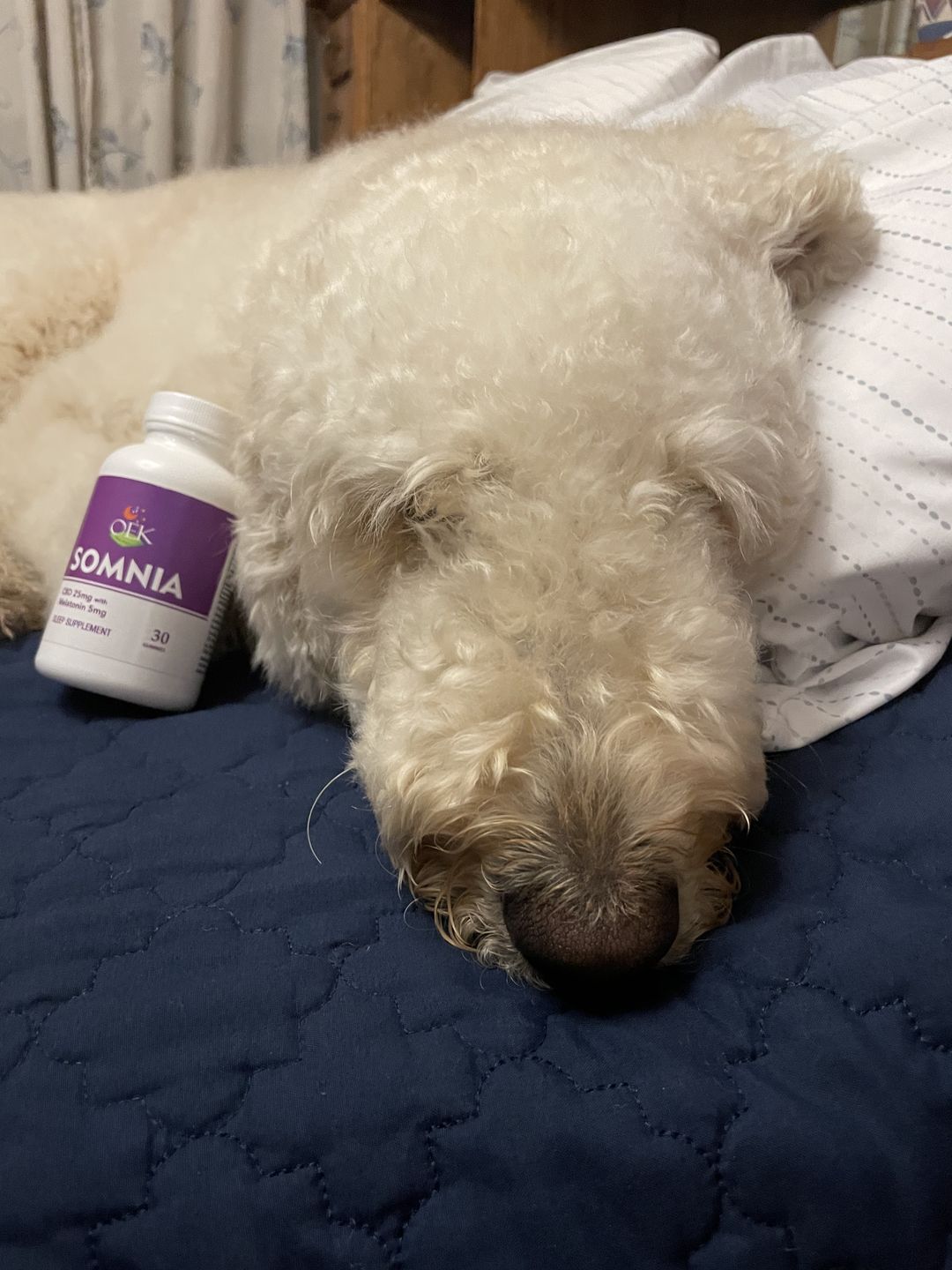 Customer photo review of Somnia Sleep Gummies