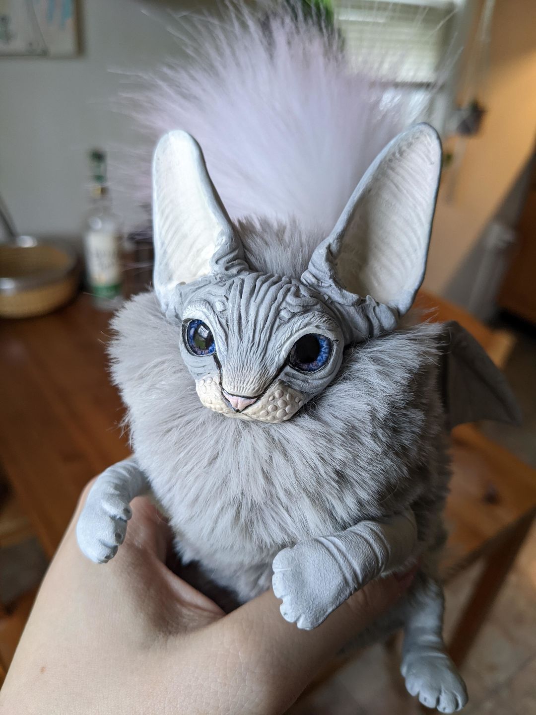 Customer photo review of Baby batcat