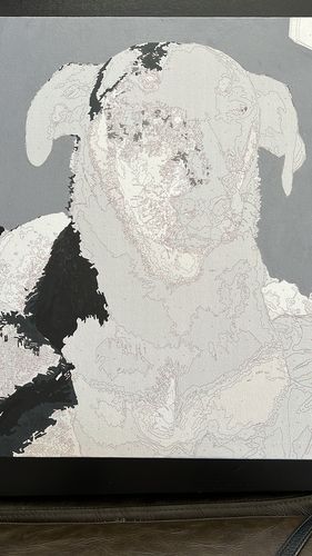 Customer photo review of Custom Pre-Framed Paint by Number Canvas