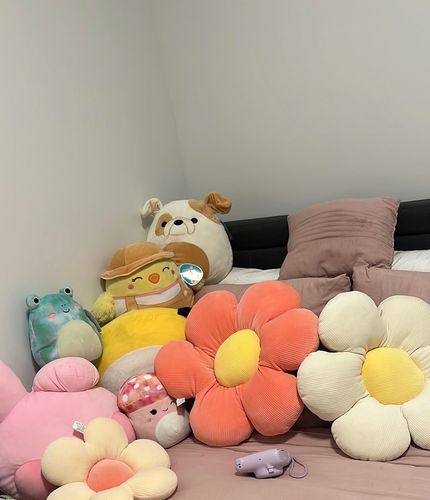 Customer photo review of Little Daisy Plush Cushion Collection