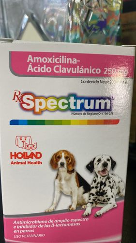 Customer photo review of RX Spectrum® Amoxicilina-Ácido Clavulánico tabletas