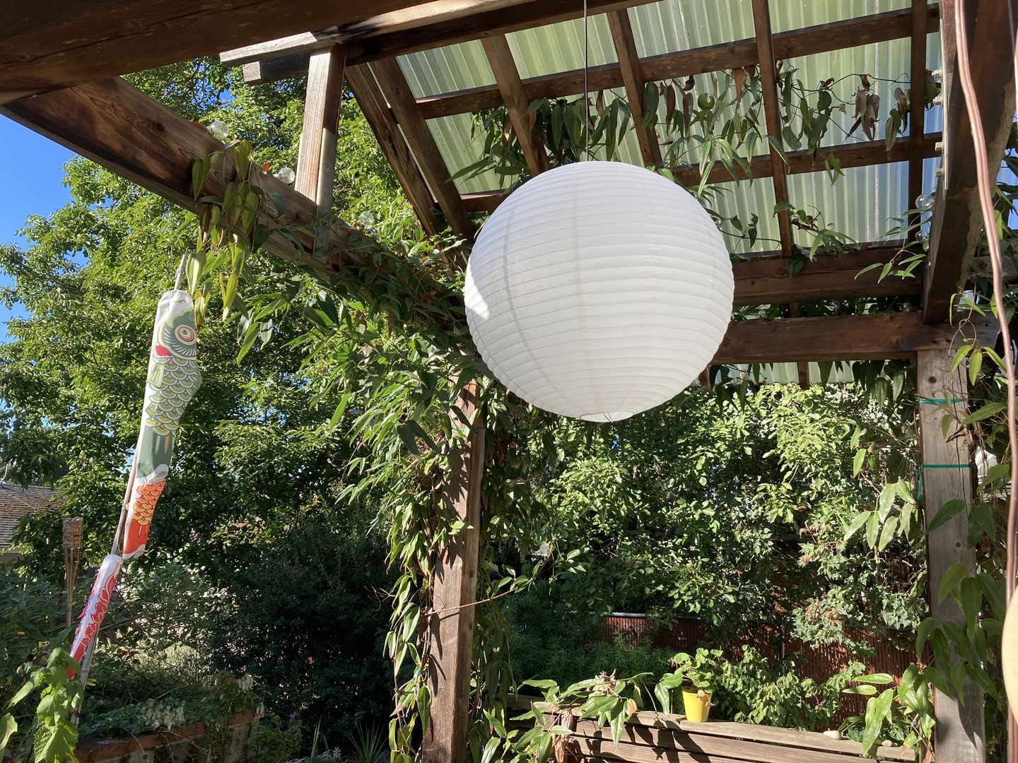 Customer photo review of 30" Beige / Ivory Jumbo Round Paper Lantern, Even Ribbing, Chinese Hanging Wedding & Party Decoration