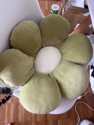 Customer photo review of Little Daisy Plush Cushion Collection