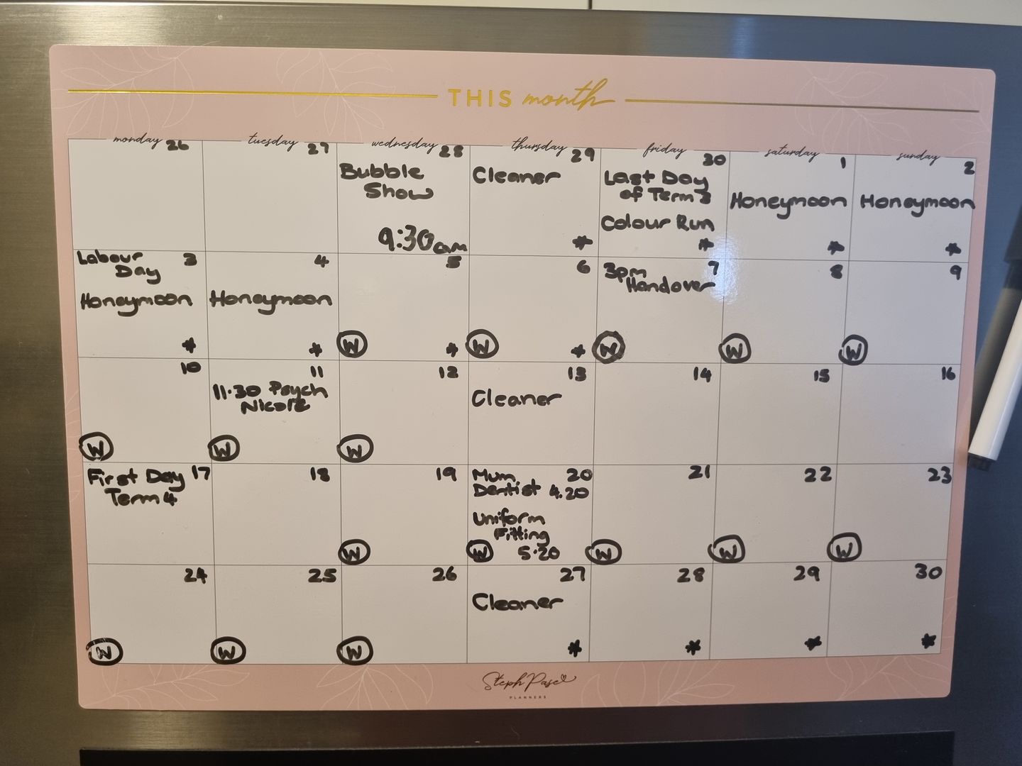 Customer photo review of NEW Blush Monthly Planner Magnet