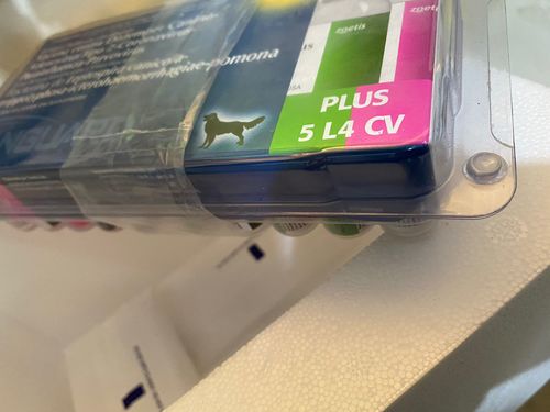 Customer photo review of Vanguard Plus 5 L4 CV