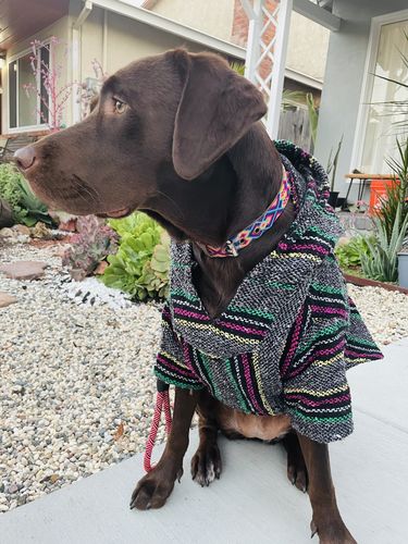 Customer photo review of Playa Poncho - Surprise Color