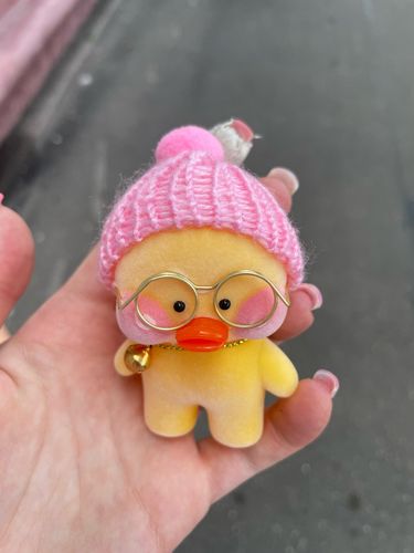 Customer photo review of Lalafanfan Duck Family Keychain
