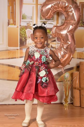 Customer photo review of Cute Baby Girls Embroidery Princess Dress