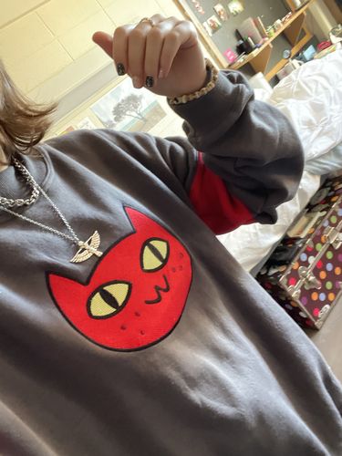 Customer photo review of Cat Sweater